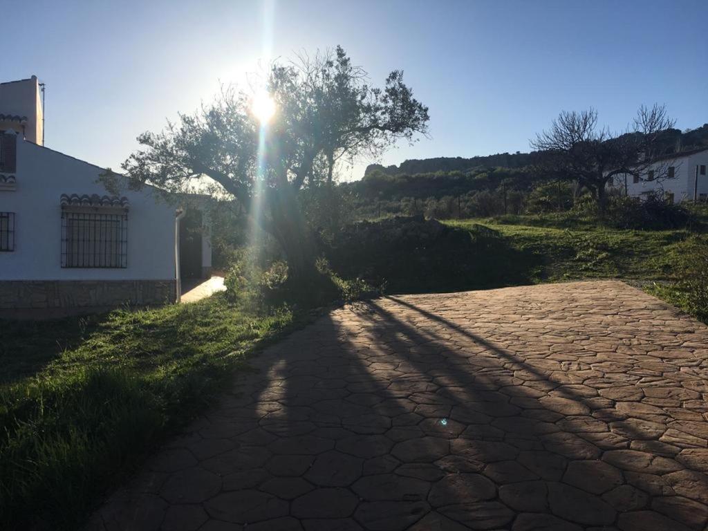 말라가 Casa Rural El Alamo 빌라 외부 사진